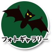 フォトギャラリー