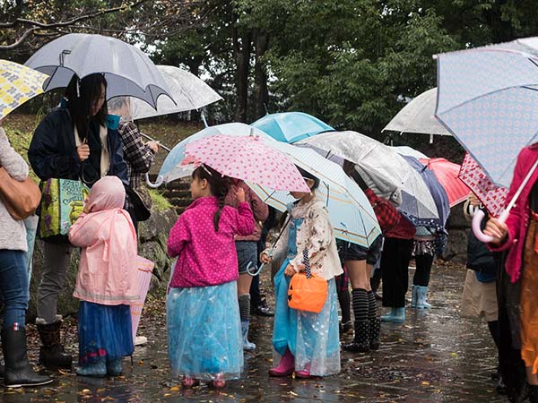 2017年雨